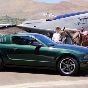 Photos of my beautiful Bullitt - Betty