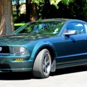 Photos of my beautiful Bullitt - Betty