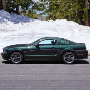 Photos of my beautiful Bullitt - Betty