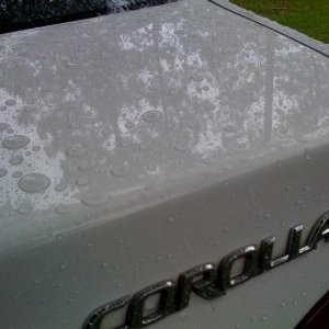 photo_111