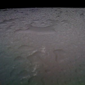 photo_311