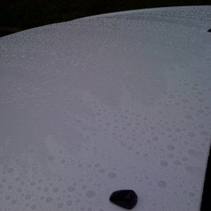 photo1a