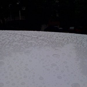 photo3a
