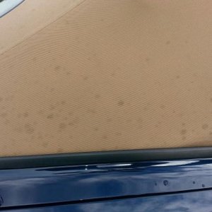 Mold and Mildew in cloth Convertible Top Canvas
