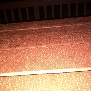 IMG-20130713-00307