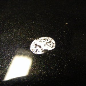 Paint thinner drop on Hood