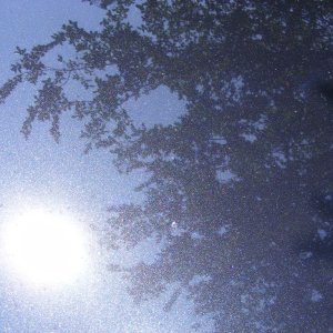 DSCF5843-1