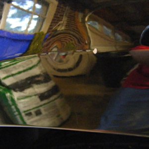 DSCF5810-1
