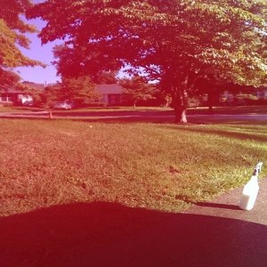 IMAG0473