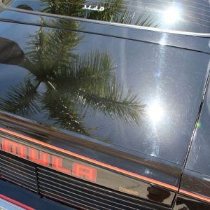 1979 Firebird Formula detailed by Mike Phillips