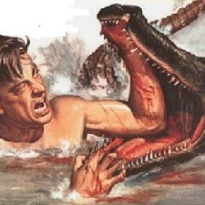 alligatorwrestling