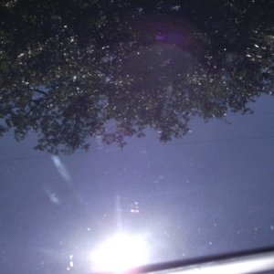 DSCF0780