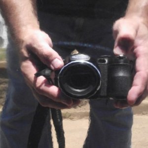 DSCF0786