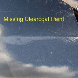 Missing Clear Coat Paint