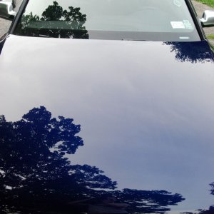 audi31