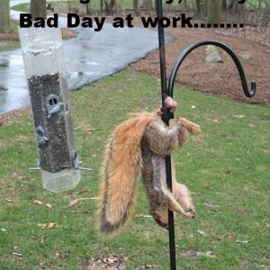 bad_day