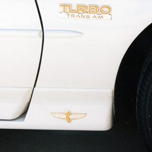 TTA_0002
