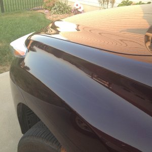 Hood and fender final