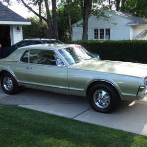 My_Cougar