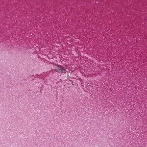 Roof_1_sm