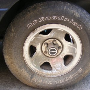 DSCF5869