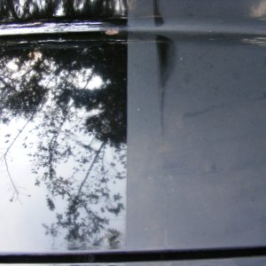 DSCF5894