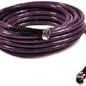 waterrighteggplantwaterhose