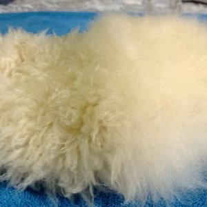 Carpro Merino Mitt