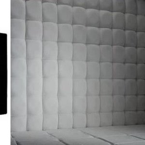 Paddedroom1