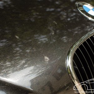 BMW Z3 - CQFinest