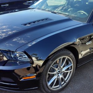 Mustang GT 5.0 Detail