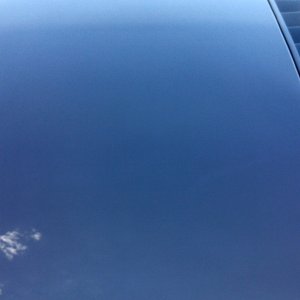Mustang GT 5.0 Detail