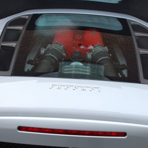 DSC_1247web