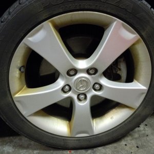 DSCN1374_sized