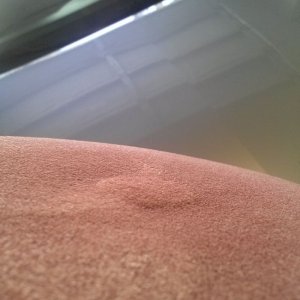 tn_CAM00823