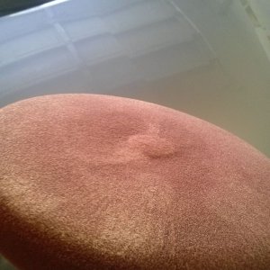 tn_CAM00825