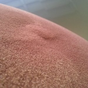 tn_CAM00827