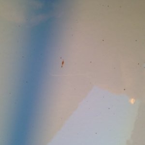 photo_315