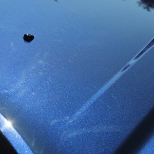 2013 Dodge Charger Paint Correction Project Car