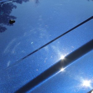 Paint Correction Project