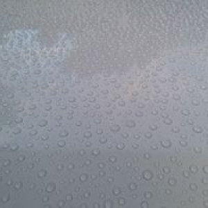 tn_photo_1
