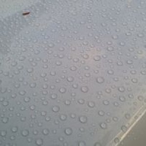 tn_photo_2