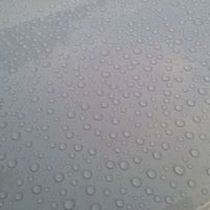 tn_photo_3