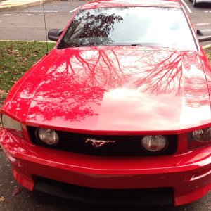 2006 Mustang GT