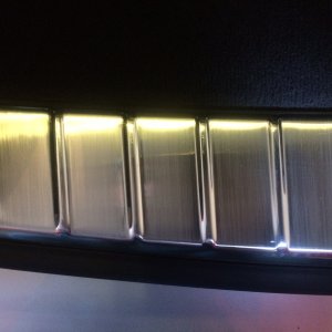 Trunk_11
