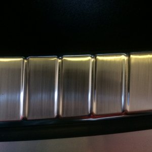 Trunk_21