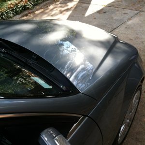 Picture_388
