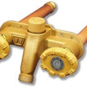 woodford-22cc