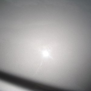 DSC05186