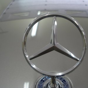 DSC05206